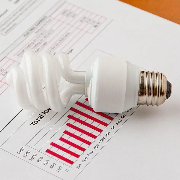 bulb document graphic 